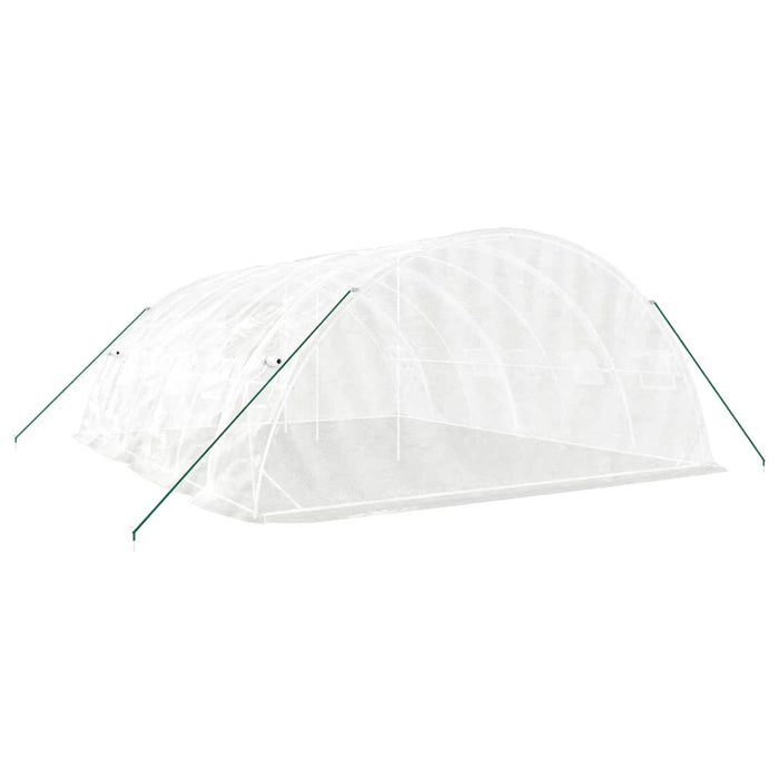 Seră cu cadru din oțel, alb, 30 m², 6x5x2,3 m WALTI