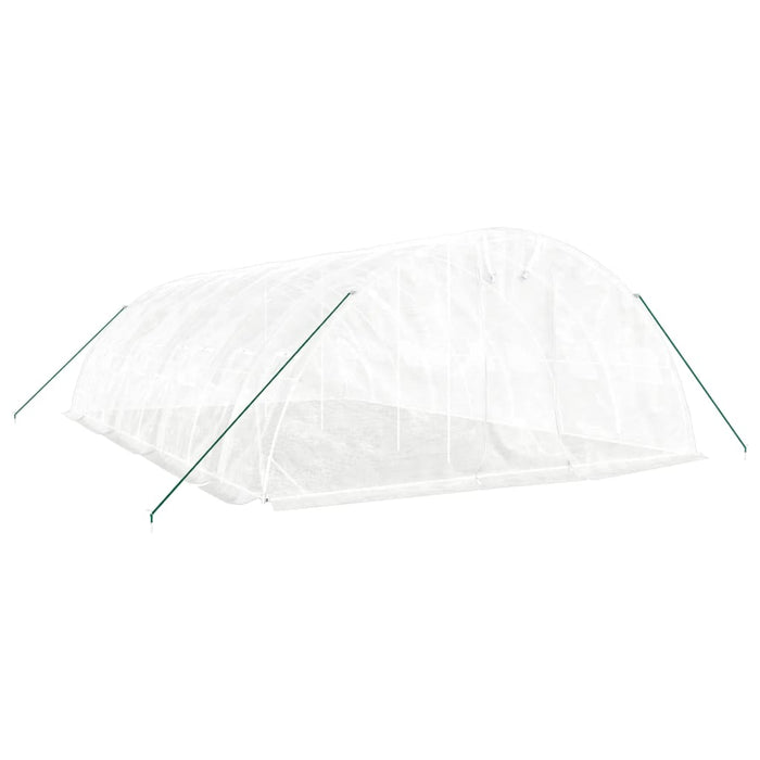 Seră cu cadru din oțel, alb, 40 m², 8x5x2,3 m - WALTI WALTI