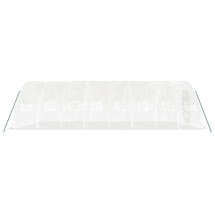 Seră cu cadru din oțel, alb, 40 m², 8x5x2,3 m - WALTI WALTI