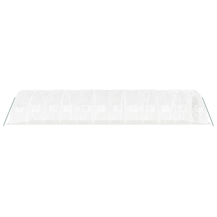 Seră cu cadru din oțel, alb, 60 m², 12x5x2,3 m WALTI