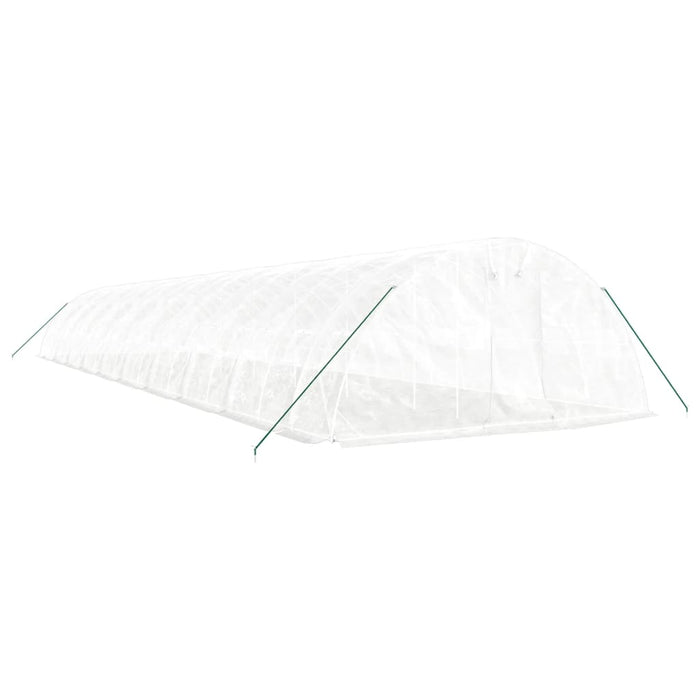 Seră cu cadru din oțel, alb, 100 m², 20x5x2,3 m WALTI