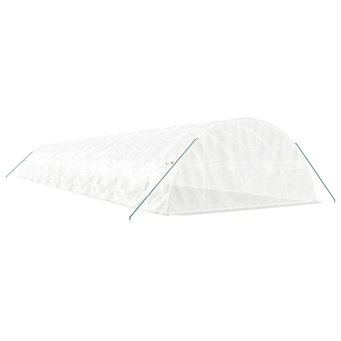 Seră cu cadru din oțel, alb, 100 m², 20x5x2,3 m WALTI