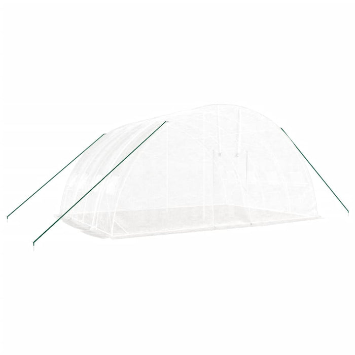 Seră cu cadru de oțel, albă, 24 m², 6x4x2,85 m WALTI