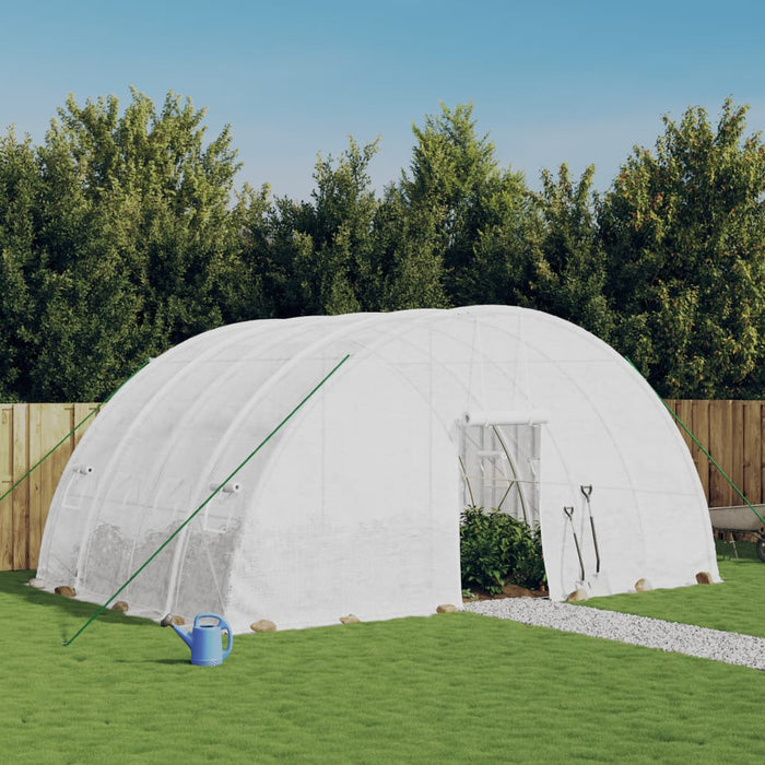 Seră cu cadru de oțel, albă, 24 m², 6x4x2,85 m WALTI