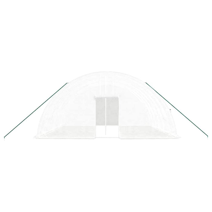 Seră cu cadru din oțel, alb, 36 m², 6x6x2,85 m - WALTI WALTI