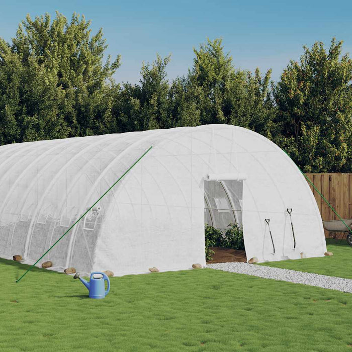 Seră cu cadru din oțel, alb, 36 m², 6x6x2,85 m - WALTI WALTI