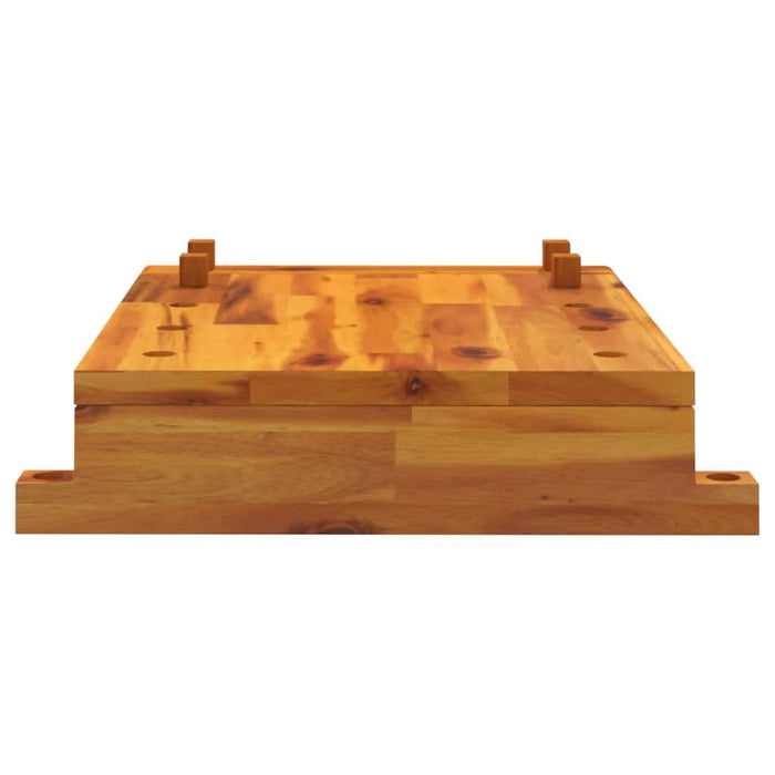 Blat pentru banc de lucru cu menghină, 52x44x9,5 cm lemn acacia - WALTI WALTI