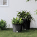 Jardinieră cu interior detașabil, antracit 15 / 15,3 L PP ratan - WALTI WALTI