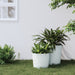 Jardinieră cu interior detașabil, alb, 15 / 15,3 L, PP ratan - WALTI WALTI
