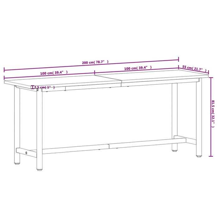 Banc de lucru 200x55x81,5 cm, lemn masiv de fag și metal - WALTI WALTI