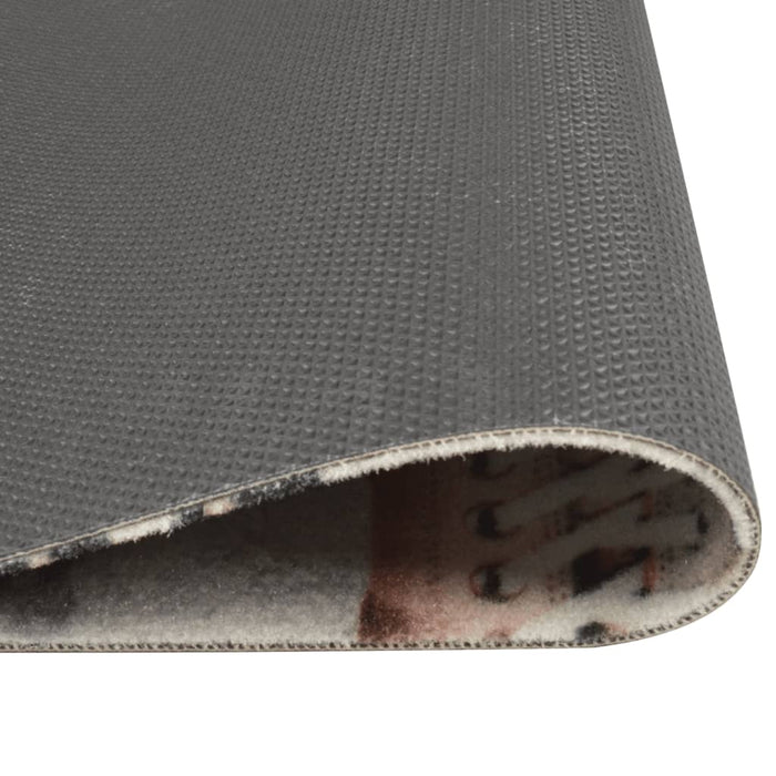 Covor de bucătărie lavabil Shoezone, 60x180cm, catifea WALTI
