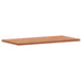 Blat de baie, 100x50x2,5 cm, lemn masiv de fag - WALTI WALTI