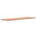 Blat de birou, 200x55x2,5 cm, lemn masiv de fag - WALTI WALTI
