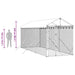 Padoc de exterior cu acoperiș argintiu 2x6x2,5m oțel galvanizat - WALTI WALTI