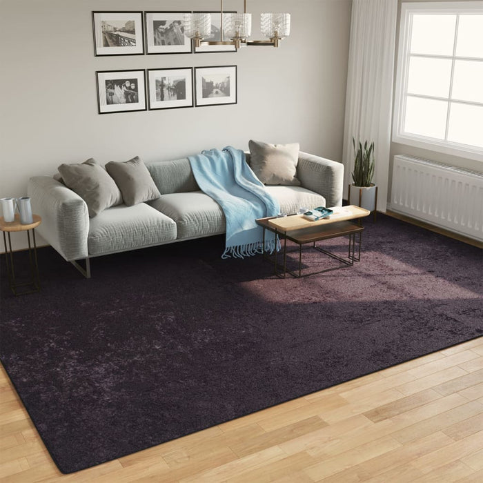 Covor lavabil, antracit, 400x300 cm WALTI