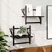 Rafturi de perete cu bare, 2 buc, negru, 30x25x30 cm - WALTI WALTI