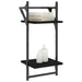 Rafturi perete cu 2 niveluri/bare 2 buc negru 30x25x65 cm - WALTI WALTI