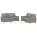 Set de canapea cu perne, 2 piese, gri taupe, material textil - WALTI WALTI