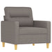 Set de canapea cu perne, 4 piese, gri taupe, material textil - WALTI WALTI