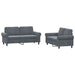 Set de canapele cu perne, 2 piese, gri închis, catifea - WALTI WALTI
