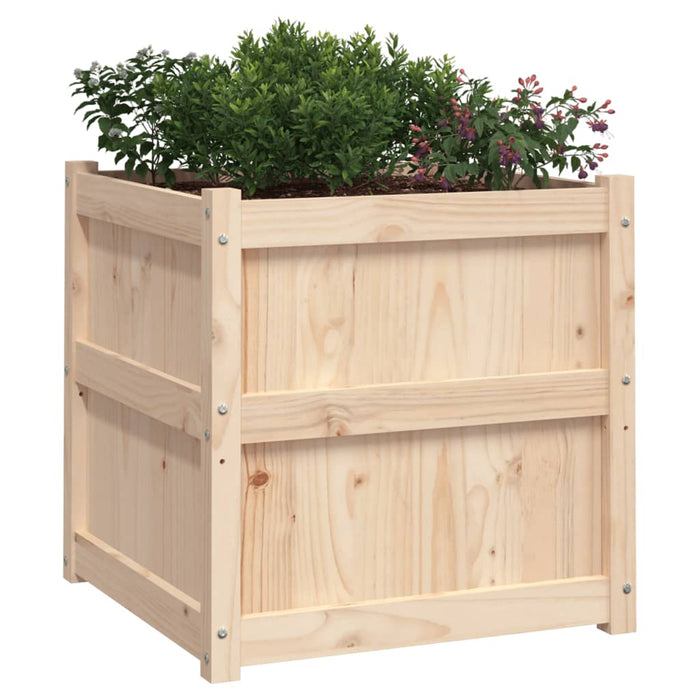 Jardiniere de grădină, 2 buc., lemn masiv de pin - WALTI WALTI