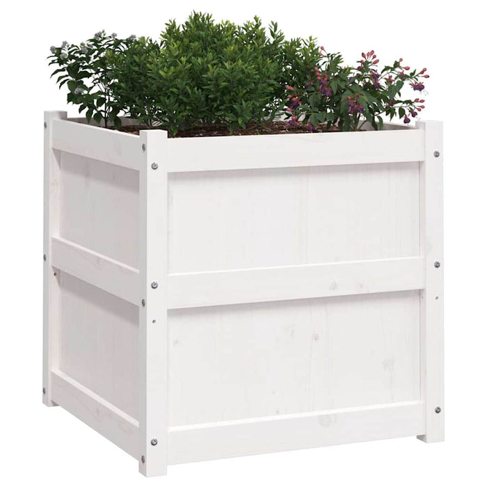 Jardiniere de grădină, 2 buc., alb, lemn masiv de pin - WALTI WALTI