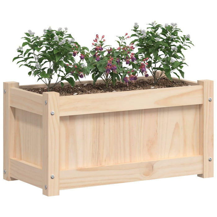 Jardinieră de grădină, 60x31x31 cm, lemn masiv de pin - WALTI WALTI