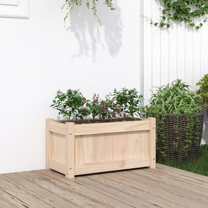 Jardinieră de grădină, 60x31x31 cm, lemn masiv de pin - WALTI WALTI