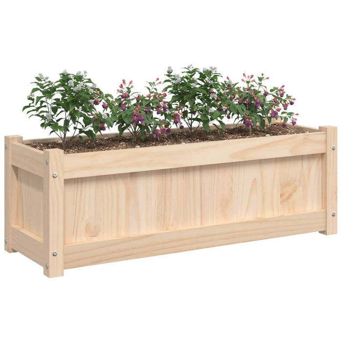 Jardiniere de grădină, 2 buc., lemn masiv de pin - WALTI WALTI