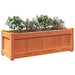 Jardinieră de grădină, maro ceruit, 90x31x31 cm, lemn masiv pin - WALTI WALTI