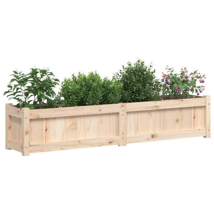 Jardiniere de grădină, 2 buc., lemn masiv de pin WALTI