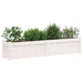 Jardinieră de grădină, alb, 150x31x31 cm, lemn masiv de pin - WALTI WALTI