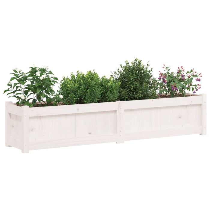 Jardiniere de grădină, 2 buc., alb, lemn masiv de pin WALTI