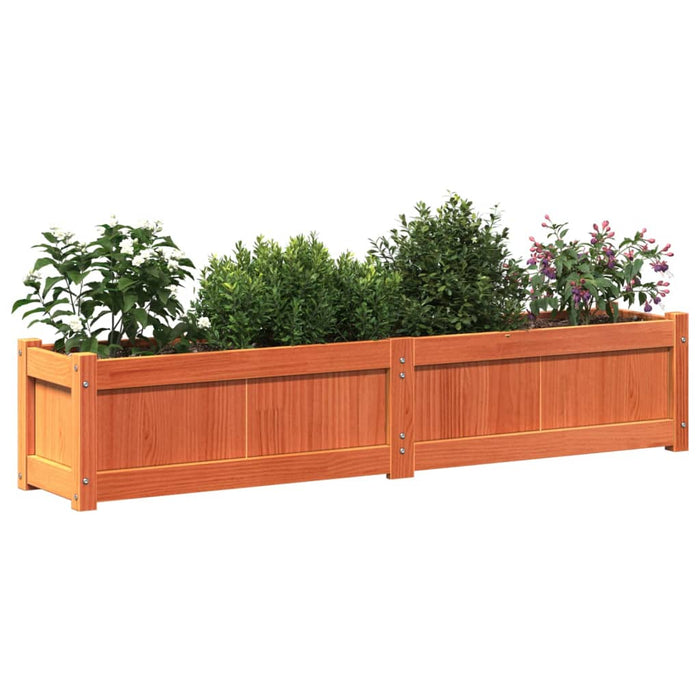 Jardinieră de grădină, maro ceruit, 150x31x31 cm lemn masiv pin WALTI
