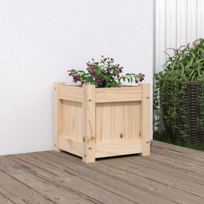 Jardinieră de grădină, 31x31x31 cm, lemn masiv de pin - WALTI WALTI