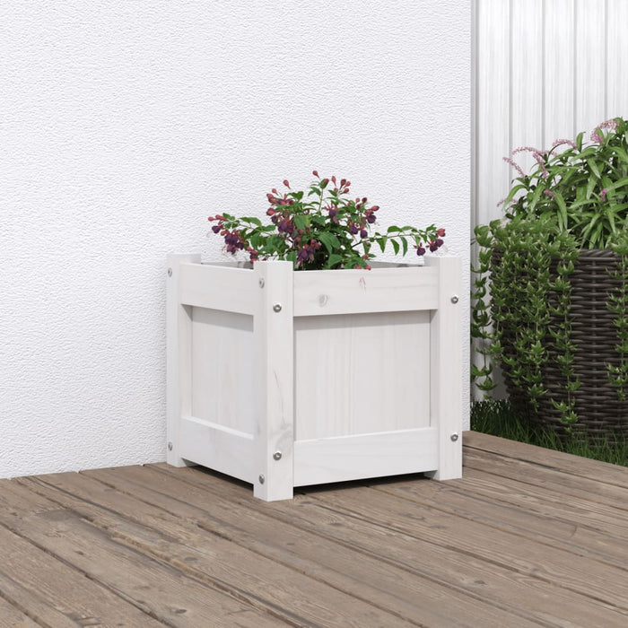 Jardinieră de grădină, 31x31x31 cm, alb lemn masiv de pin - WALTI WALTI