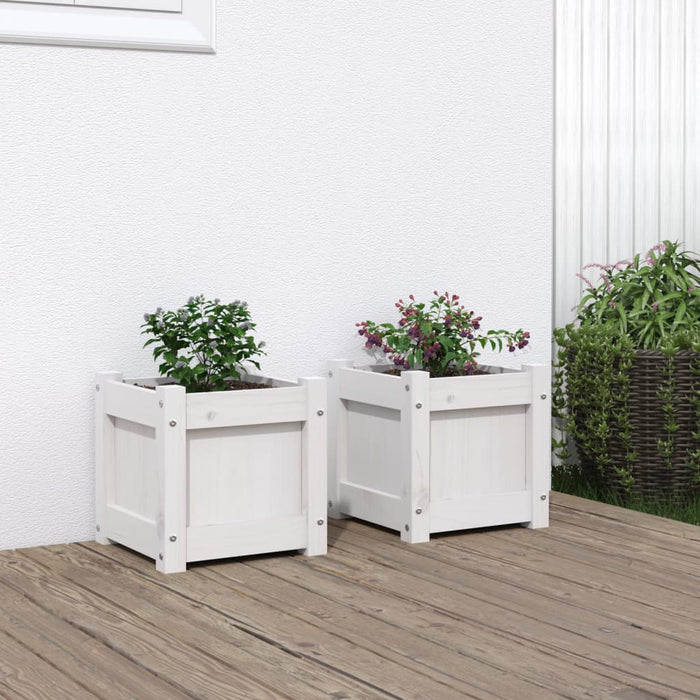 Jardiniere de grădină, 2 buc., alb, lemn masiv de pin - WALTI WALTI