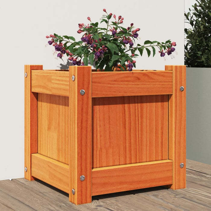 Jardinieră de grădină, maro ceruit, 31x31x31 cm, lemn masiv pin - WALTI WALTI