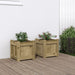 Jardiniere de gradina , 2 buc., lemn de pin impregnat - WALTI WALTI