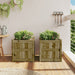 Jardiniere de gradina , 2 buc., lemn de pin impregnat - WALTI WALTI