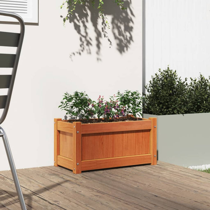 Jardinieră de grădină, maro ceruit, 60x31x31 cm, lemn masiv pin WALTI