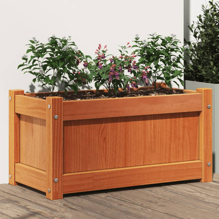Jardinieră de grădină, maro ceruit, 60x31x31 cm, lemn masiv pin WALTI