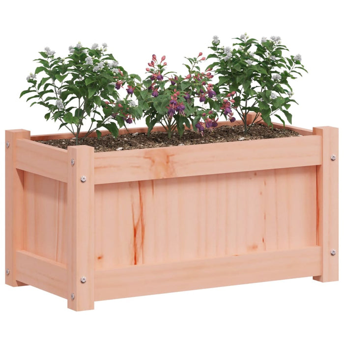 Jardiniere de grădină, 2 buc., lemn masiv douglas - WALTI WALTI