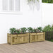Jardiniere de gradina , 2 buc., lemn de pin impregnat - WALTI WALTI