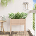 Jardinier de grădină cu picioare, 70x31x70cm, lemn masiv de pin - WALTI WALTI