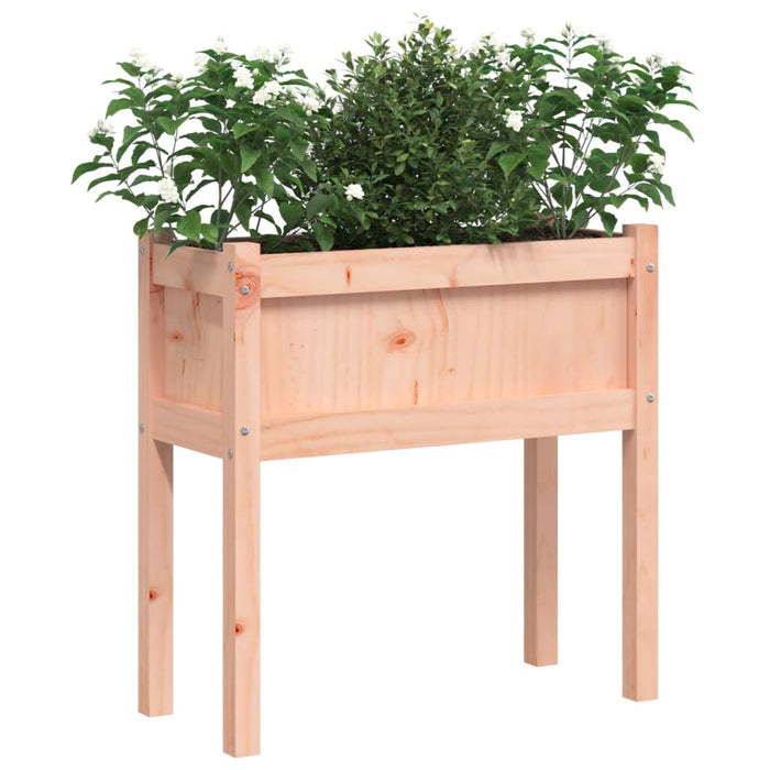 Jardiniere de grădină cu picioare, 2 buc., lemn masiv douglas WALTI