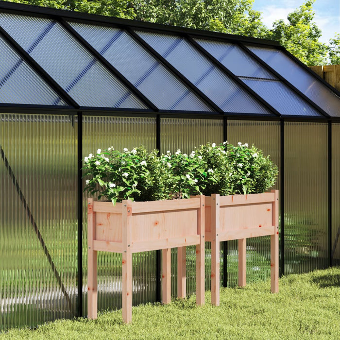 Jardiniere de grădină cu picioare, 2 buc., lemn masiv douglas WALTI