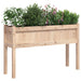 Jardinieră de grădină cu picioare 110x31x70cm lemn masiv de pin - WALTI WALTI