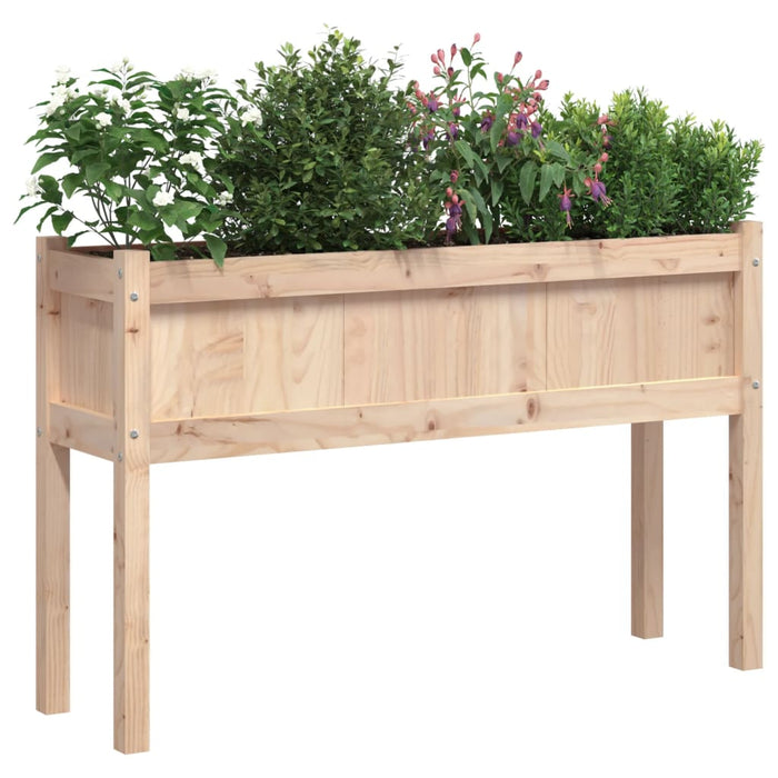 Jardiniere de grădină cu picioare, 2 buc., lemn masiv de pin - WALTI WALTI