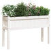 Jardinier de grădină cu picioare, alb, 110x31x70 cm, lemn masiv - WALTI WALTI